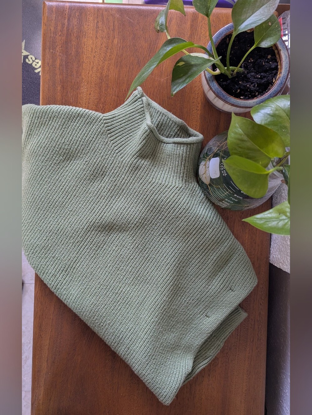 Jason Wu Sweater Vest